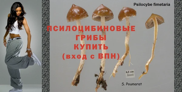 2c-b Дмитровск