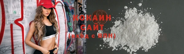соль ск Дмитриев