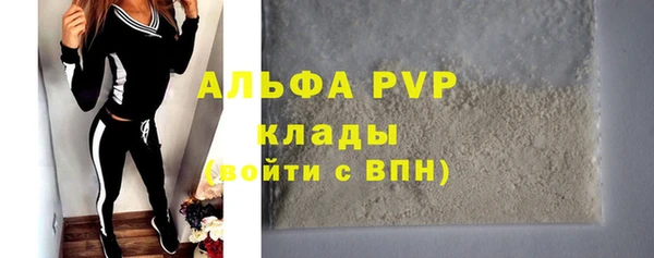соль ск Дмитриев