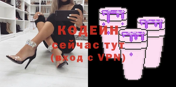 соль ск Дмитриев