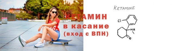 соль ск Дмитриев