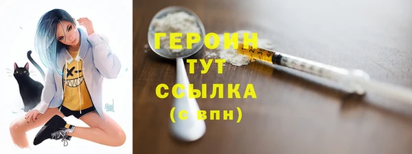 соль ск Дмитриев