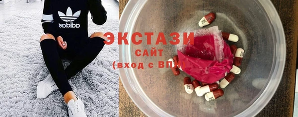 соль ск Дмитриев