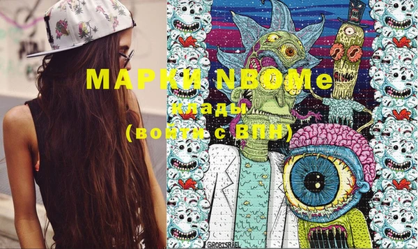 соль ск Дмитриев