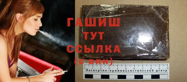 соль ск Дмитриев