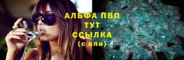 соль ск Дмитриев
