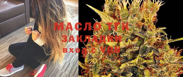 соль ск Дмитриев